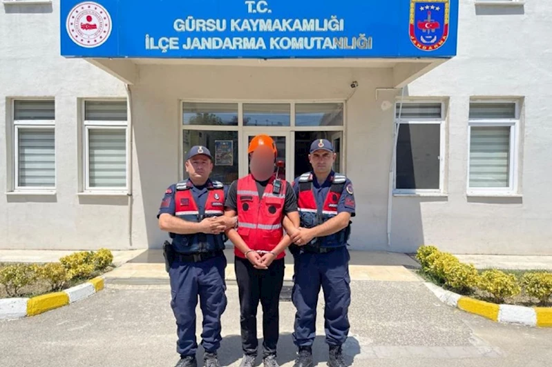 Bursa