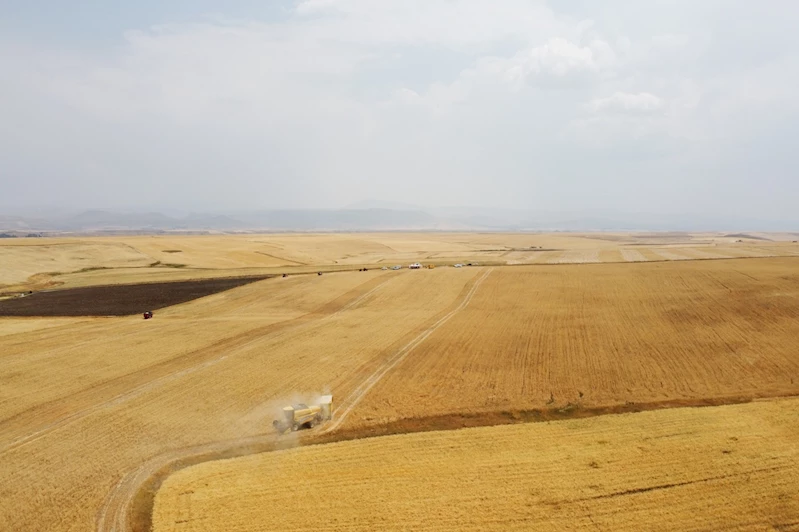 Ağrı