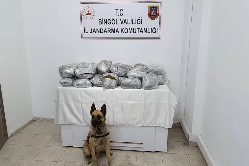 Bingöl