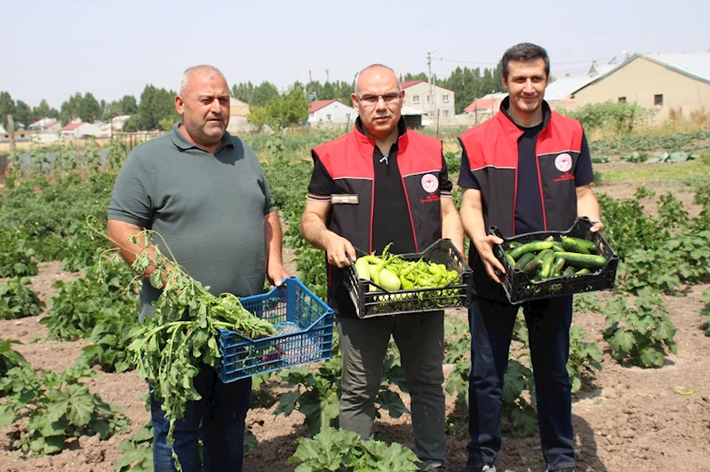 Ağrı