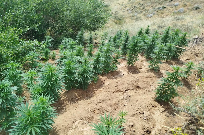 Bingöl