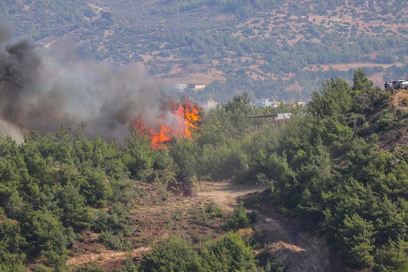 Hatay