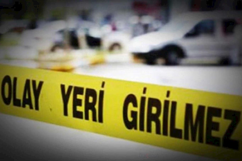 Ağaçtan düşen vatandaş hayatını kaybetti