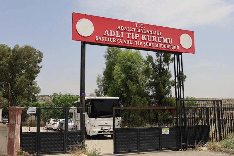 Şanlıurfa’da hayvan otlatma tartışması kavgaya dönüştü: 1 ölü, 2 yaralı
