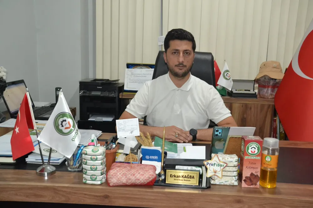 Ayçiçeği Üreticisinin Yüzü Güldü: Fiyatlar Yükseldi