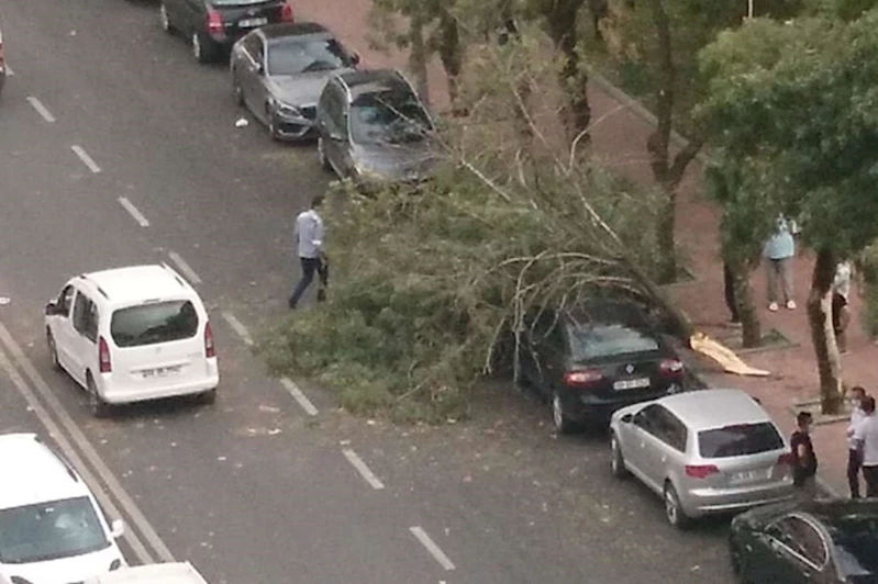 Meteoroloji