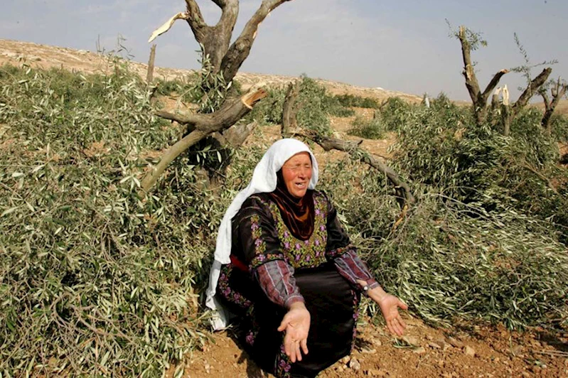 İşgalciler, Cenin