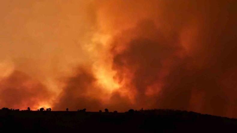 Diyarbakır’ın Çınar ilçesinde kırsal alanda çıkan yangın, geniş alana yayıldı