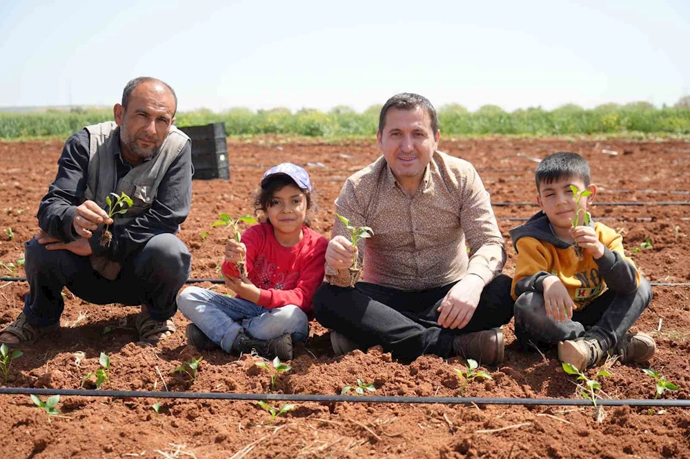 Kilis’te biber fideleri çocukların elleriyle toprakla buluştu