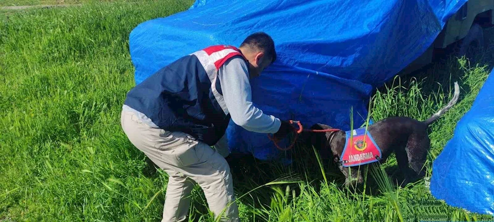 Şanlıurfa’da silah kaçakçılarına operasyon: 3 gözaltı