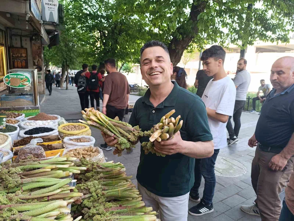 Yayla muzu tezgahlardaki yerini aldı